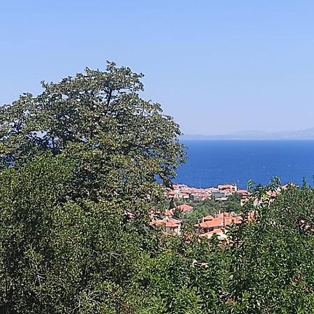 Studios Akrotiri Mytilíni Dış mekan fotoğraf